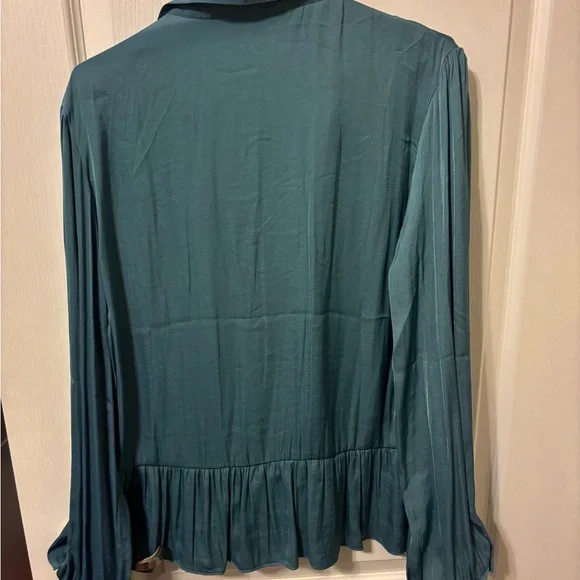 Naked Zebra Deep Teal Blouse - Picture 5 of 6